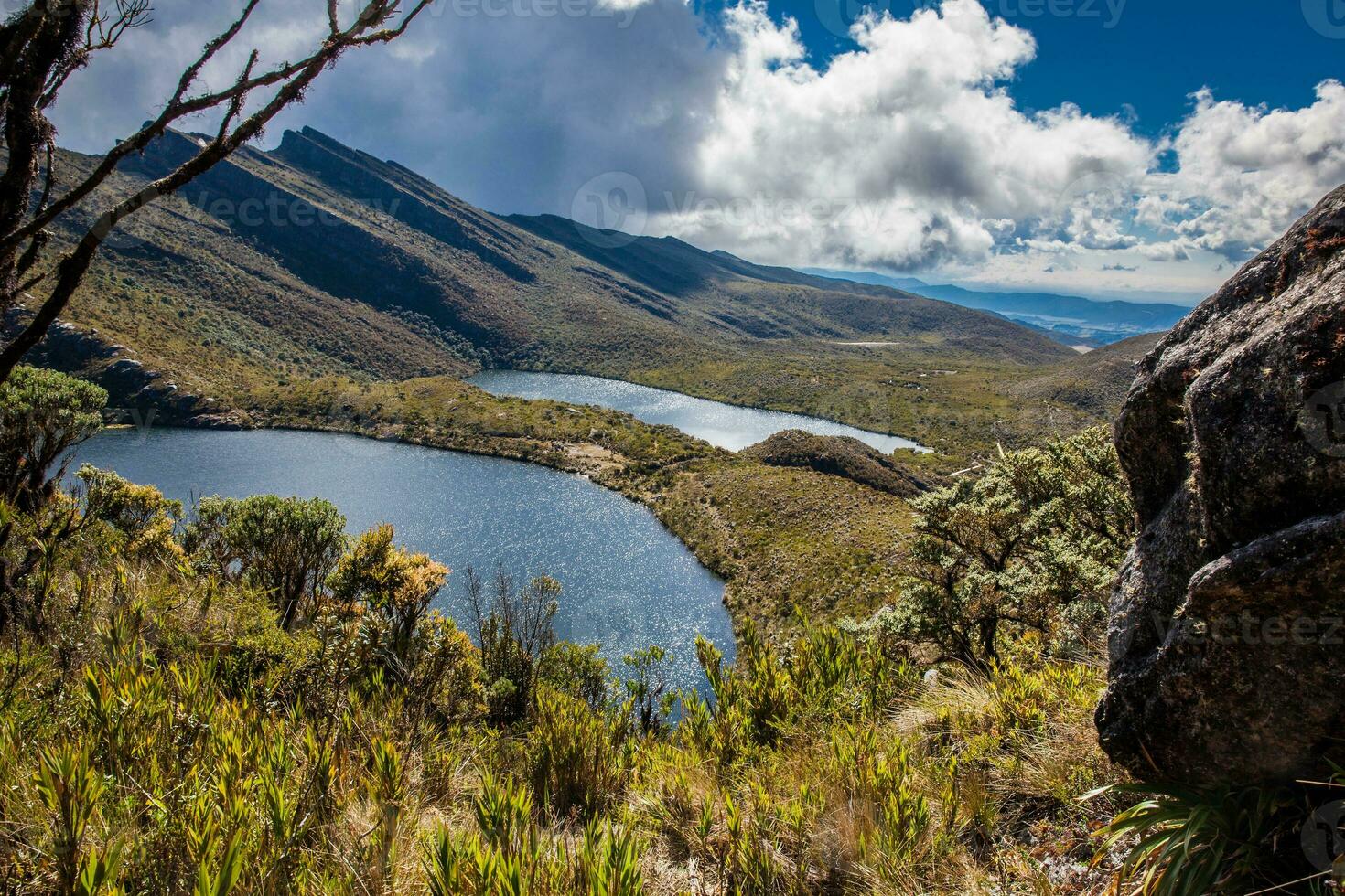 hermosa paisaje de Colombiana andino montañas demostración páramo tipo vegetación en el Departamento de cundinamarca foto