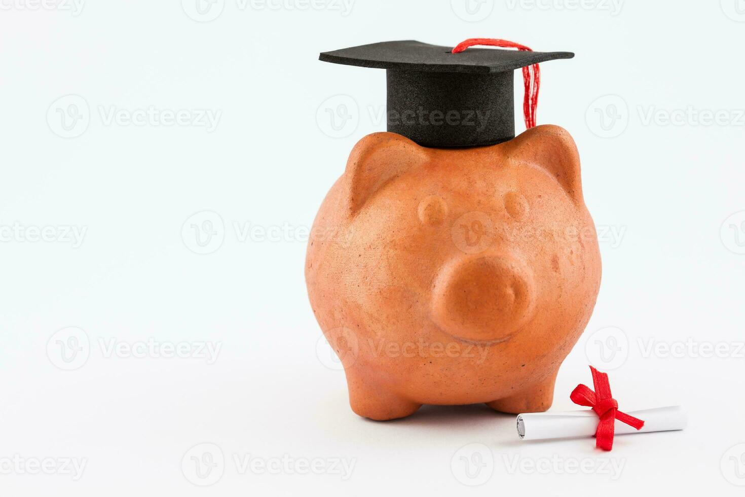 Piggy bank with graduation cap isolated on white background. Saving money to study concept photo