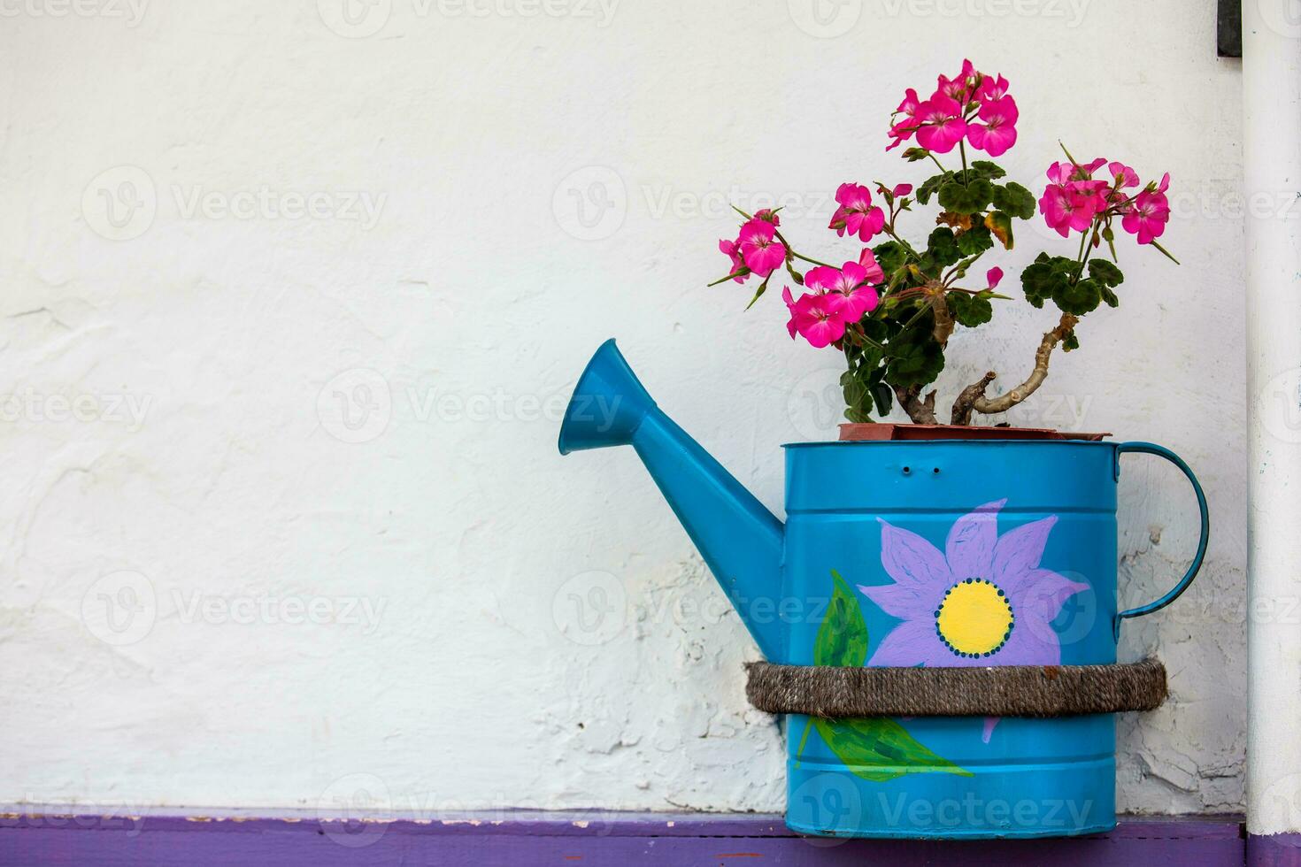 Geranium planted in a watering can at the beautiful streets of Salento in Colombia photo