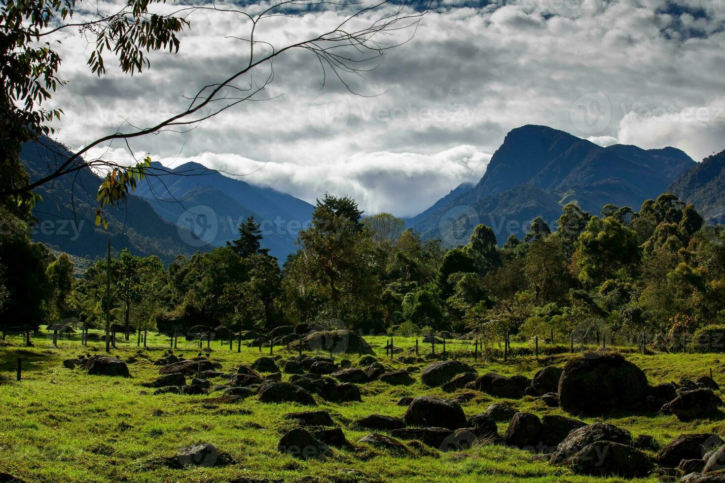 Beautiful landscape at the Cocora Valley with the famous Morrogacho Hill on the background photo