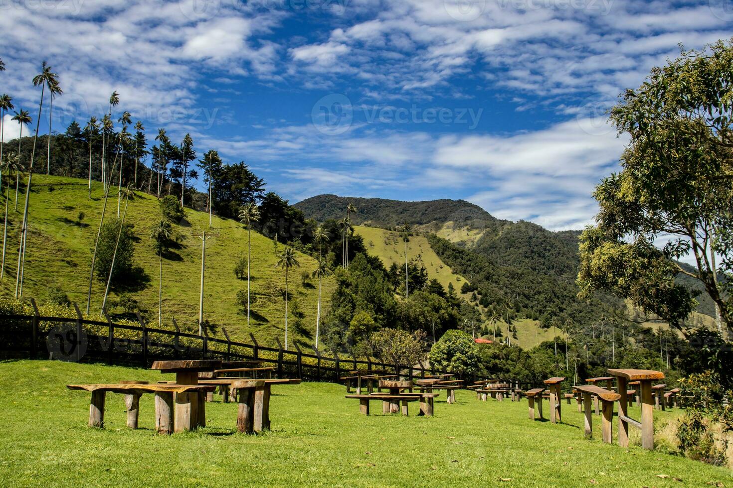 View of the beautiful cloud forest and the Quindio Wax Palms at the Cocora Valley located in Salento in the Quindio region in Colombia. photo