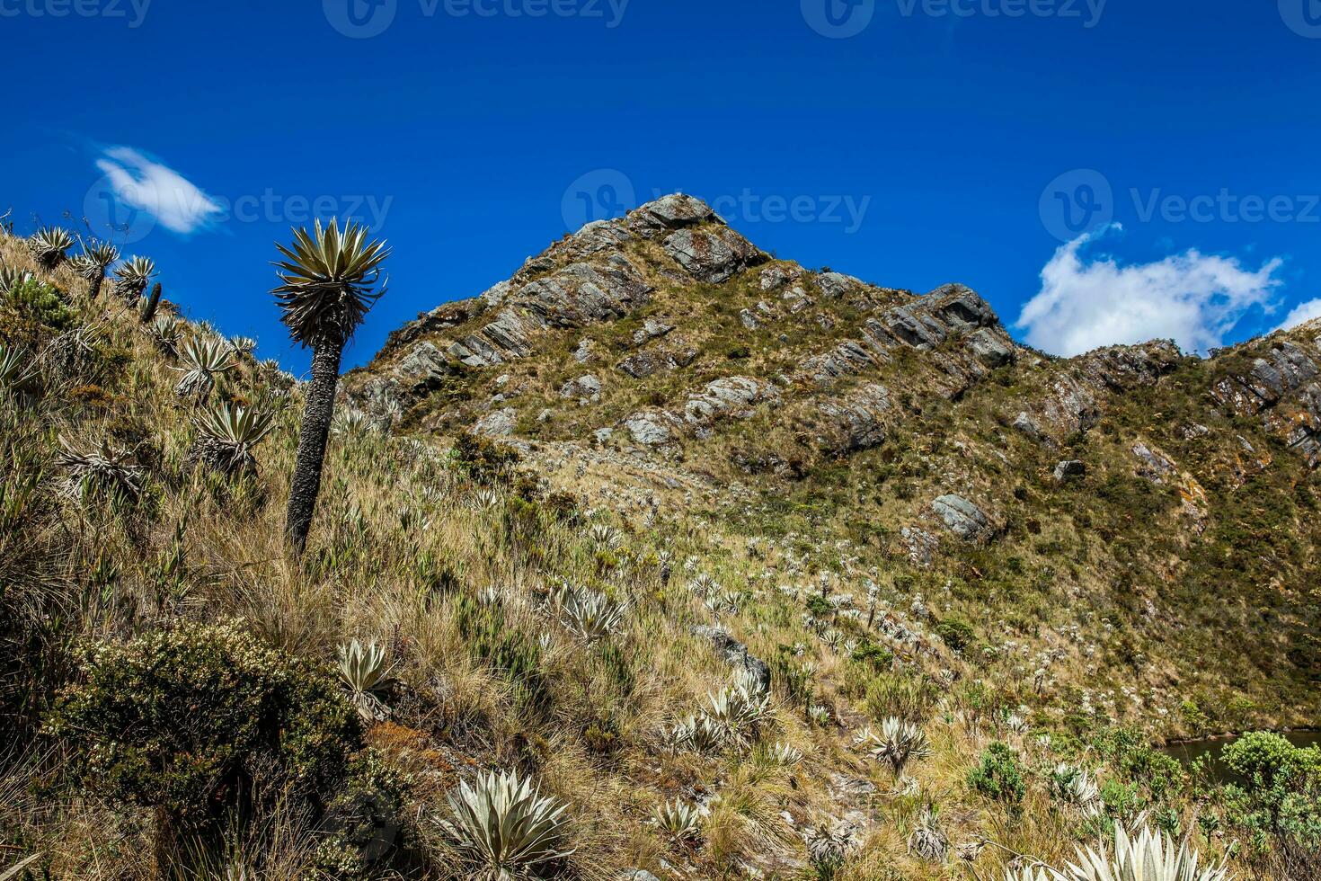 Beautiful landscape of Colombian Andean mountains showing paramo type vegetation in the department of Cundinamarca photo