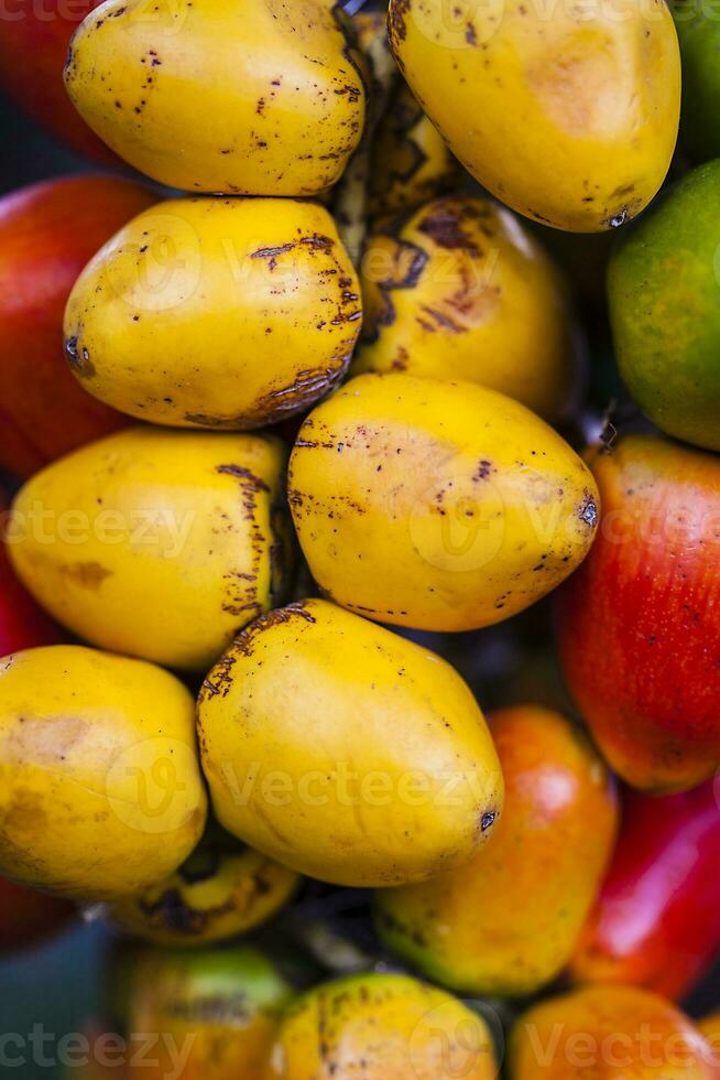 Exotic tropical fruit called chontaduro. Bactris gasipaes. photo