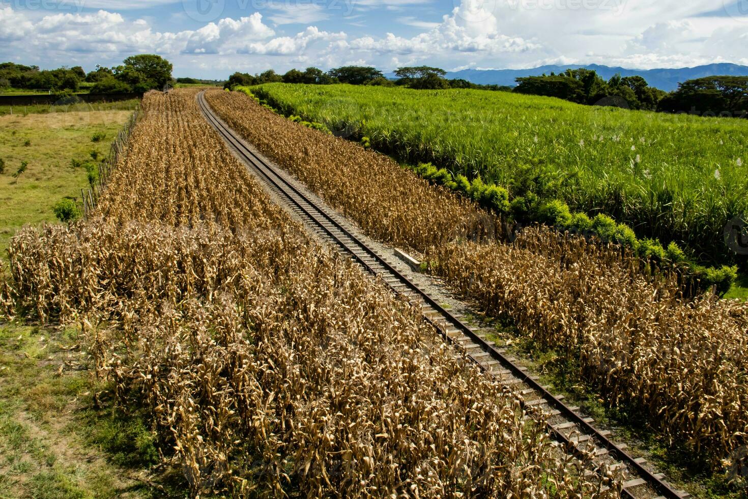 ferrocarril pistas en un rural escena en un hermosa soleado día a el valle del Cauca región en Colombia foto
