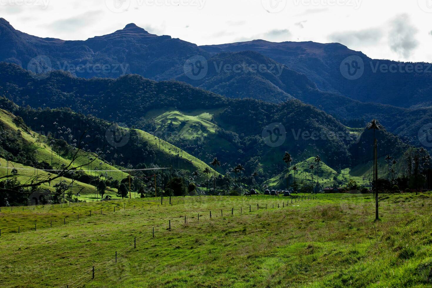 cámping carpas, cera palmas y el hermosa montañas a cocora Valle situado en el quindio región en Colombia foto