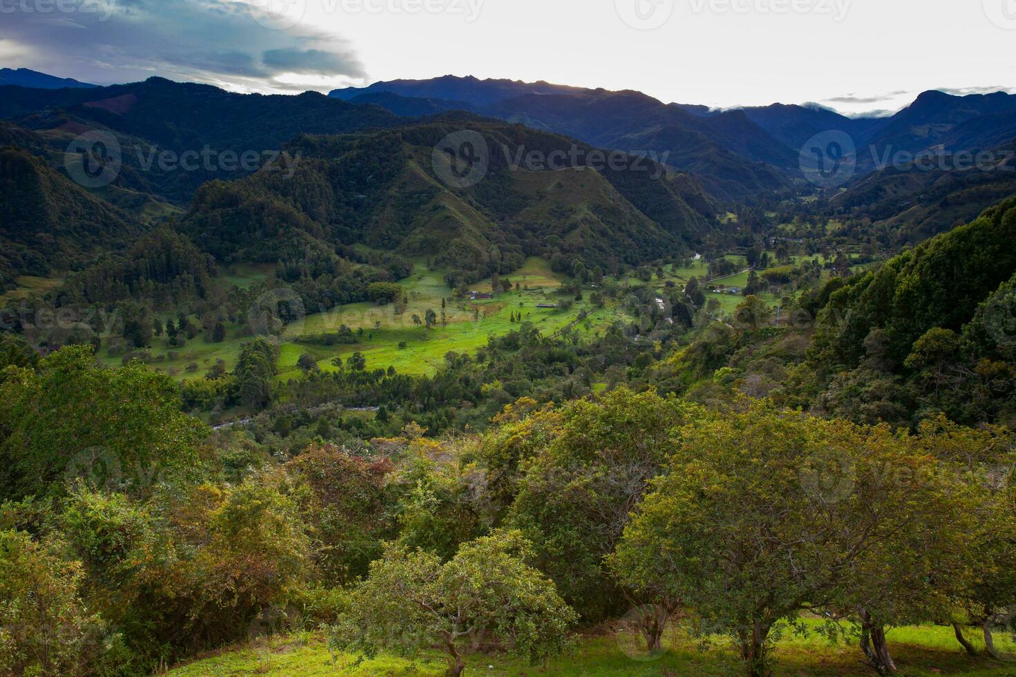 Beautiful view over the Cocora Valley in Salento, from El Mirador, located on the region of Quindio in Colombia photo