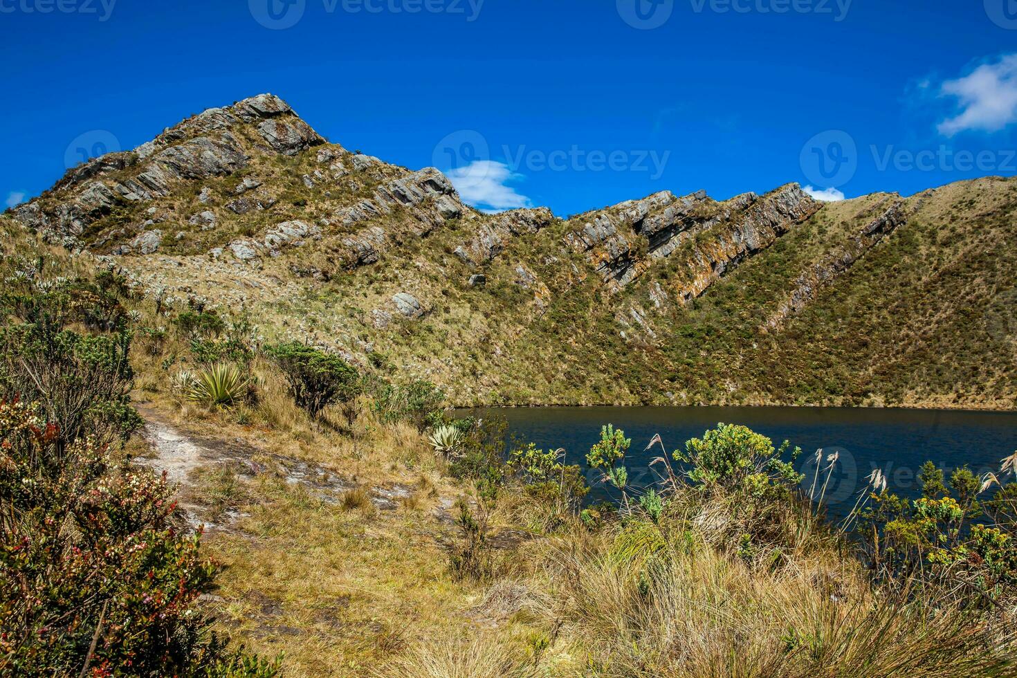 Beautiful landscape of Colombian Andean mountains showing paramo type vegetation in the department of Cundinamarca photo