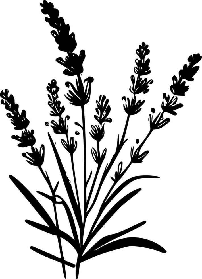 lavanda - negro y blanco aislado icono - vector ilustración