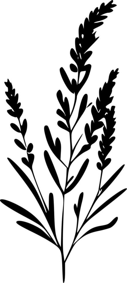 lavanda, minimalista y sencillo silueta - vector ilustración