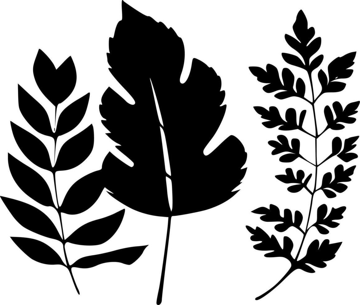 hojas - negro y blanco aislado icono - vector ilustración