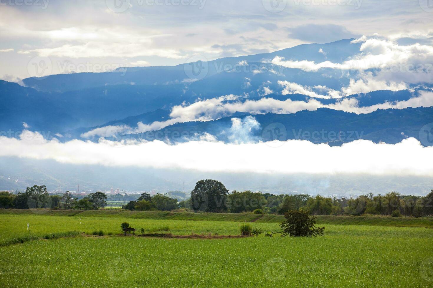 azúcar caña campo y el majestuoso montañas a el valle del Cauca región en Colombia foto