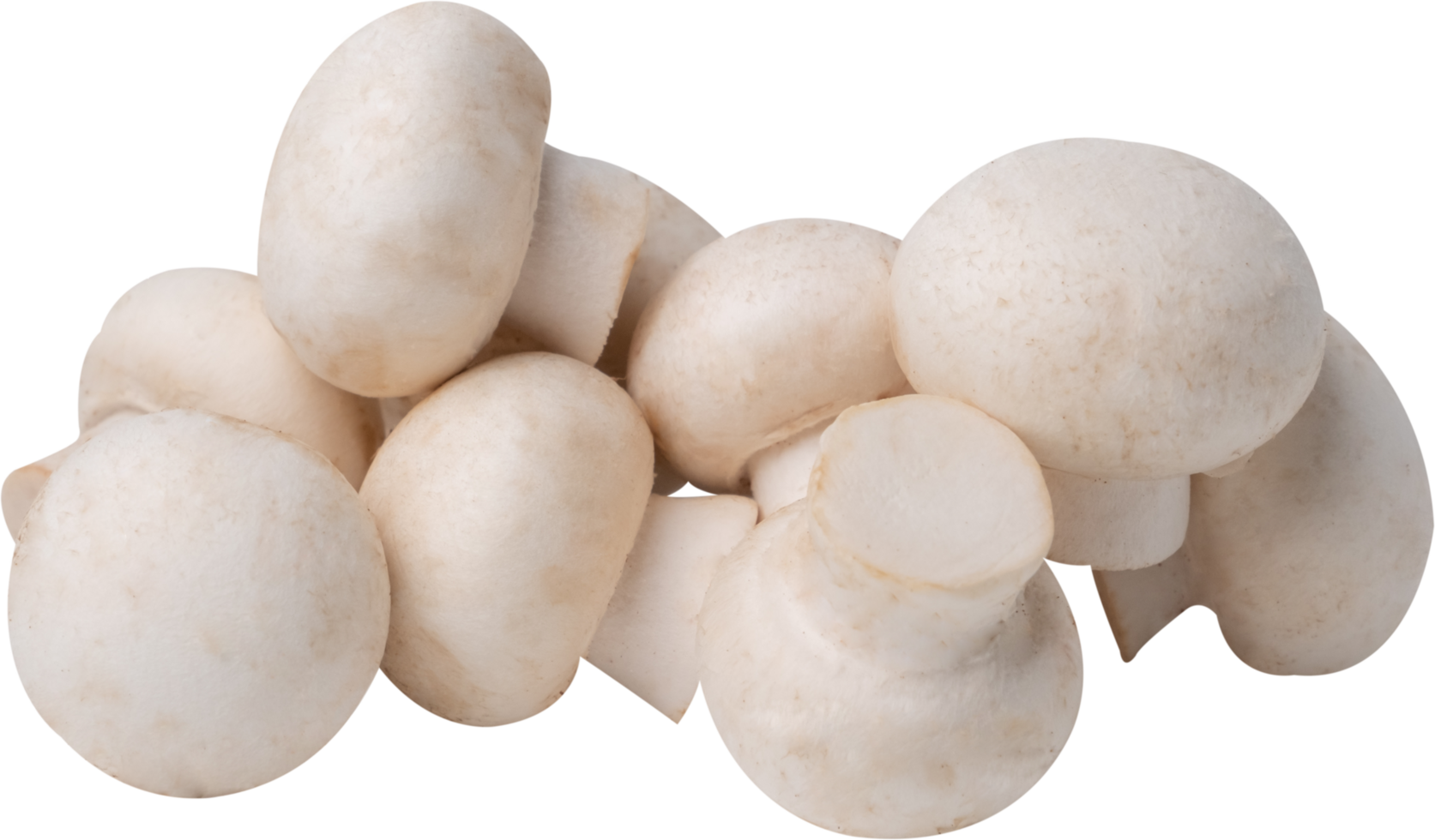button mushroom cut out on transparent background. png