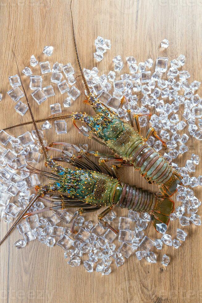 Two Ise lobsters from Japan placed on a wooden board background with ice photo