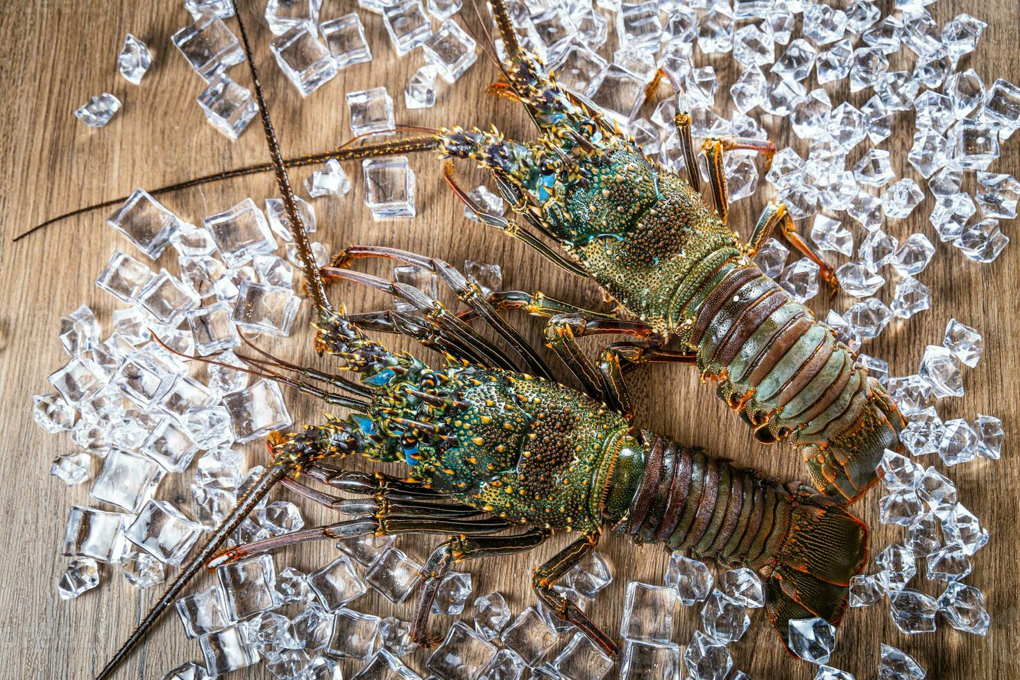 Two Ise lobsters from Japan placed on a wooden board background with ice photo