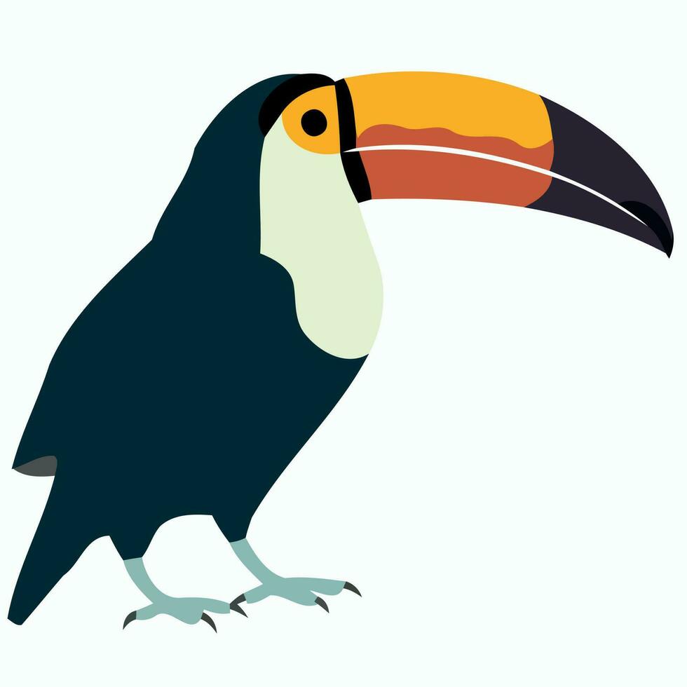 animal bird toucan standing vector