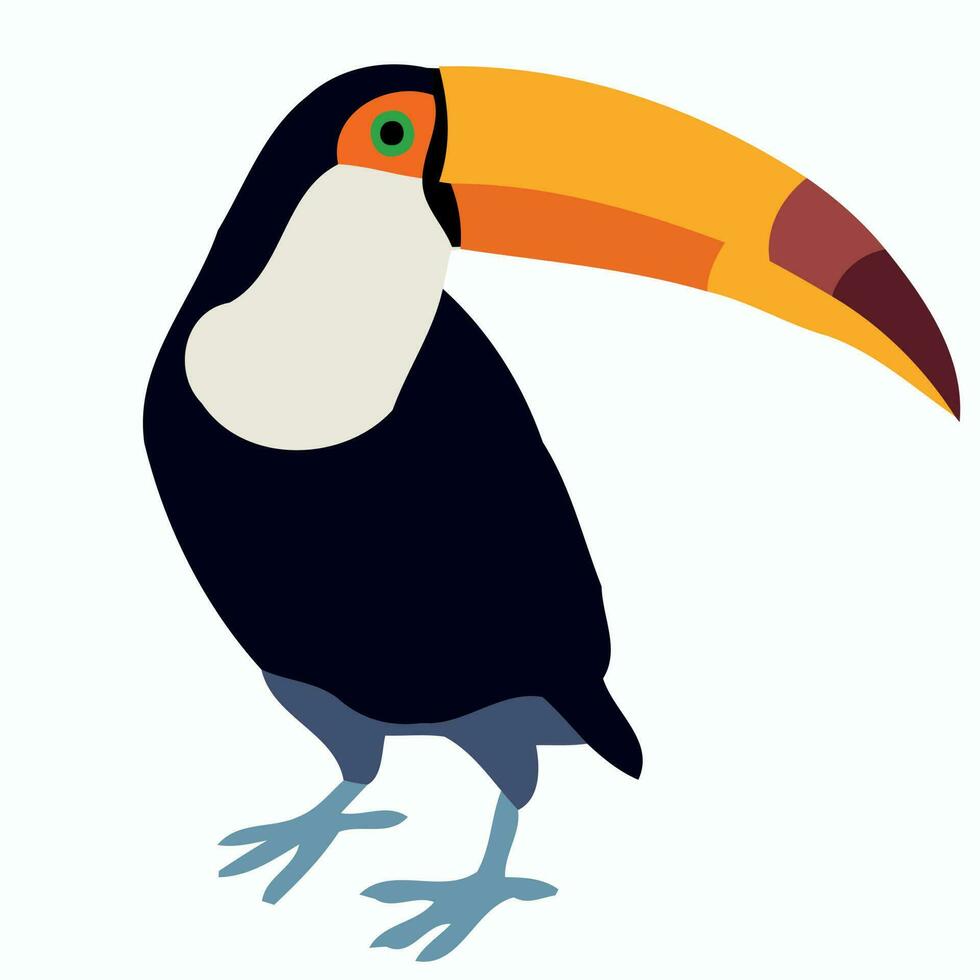 animal pájaro tucán en pie vector