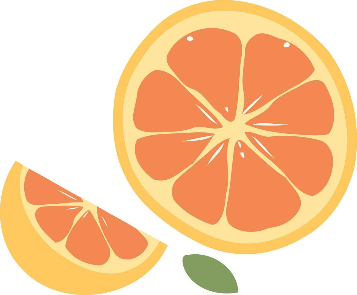 sliced orange citrus fruit vector