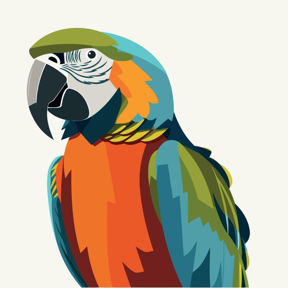 tropical bird animal portrait macaw vector