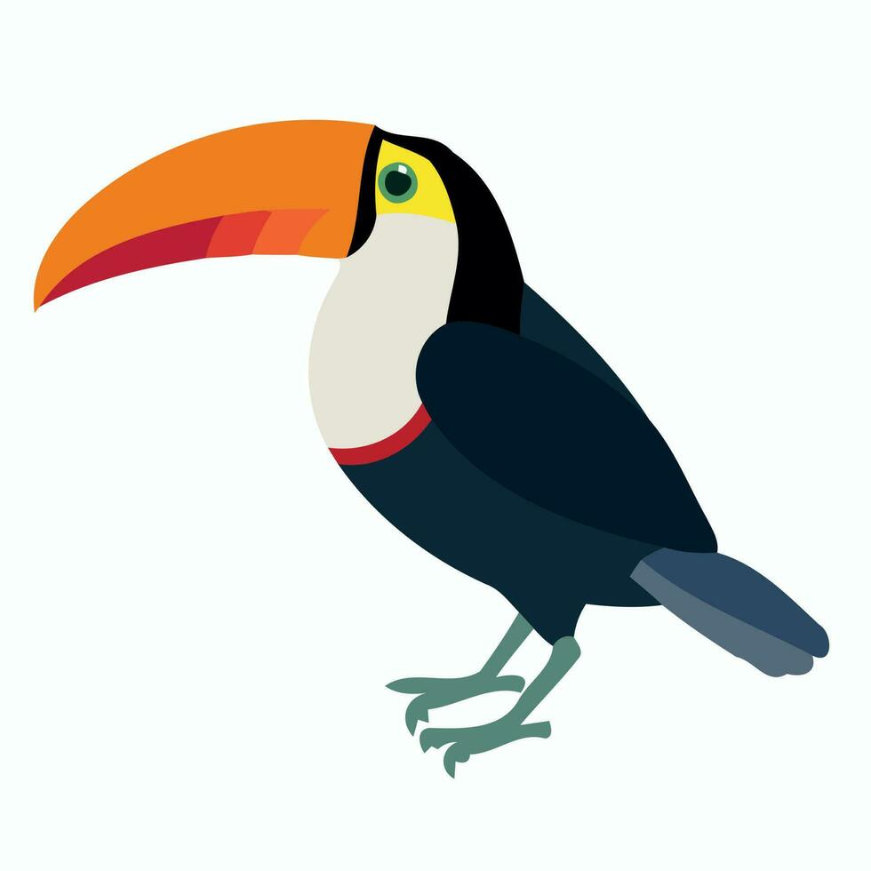 animal bird toucan standing vector