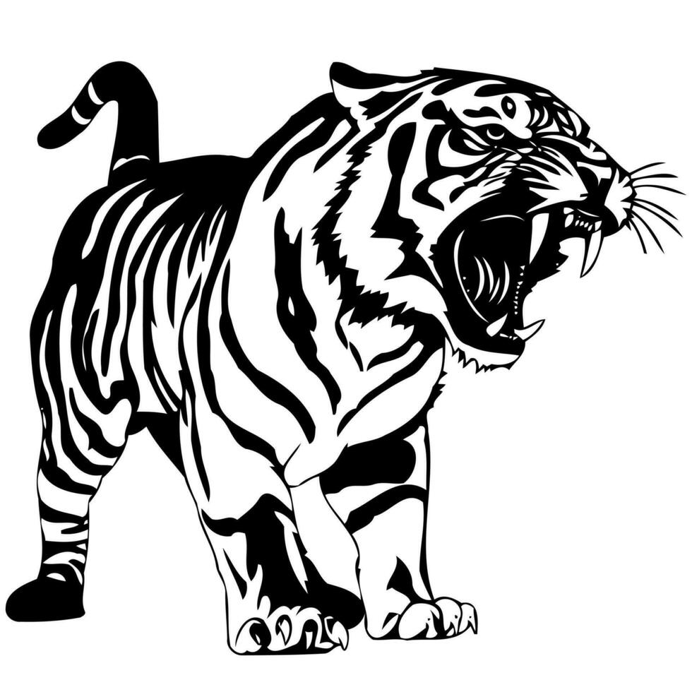 animal mamífero felino enojado Tigre en negro blanco vector