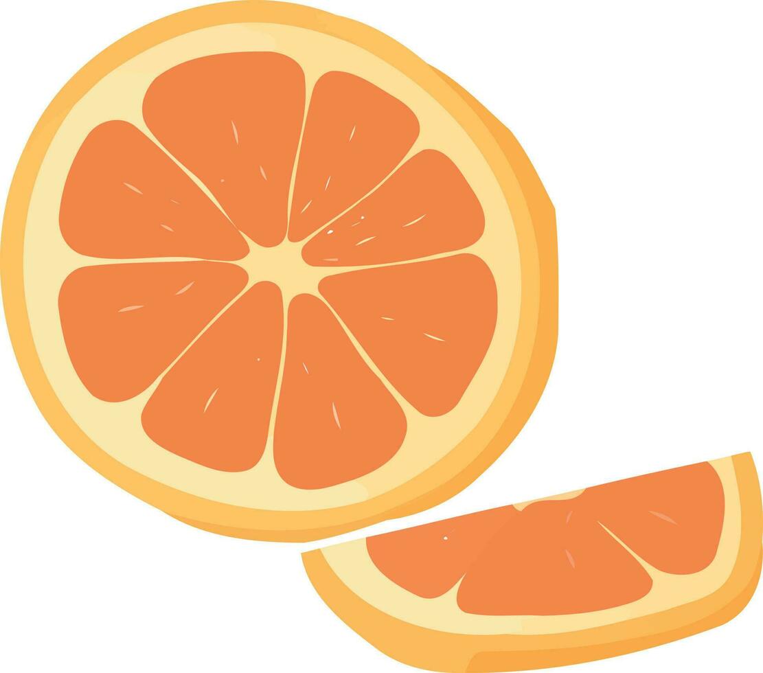 sliced orange citrus fruit vector