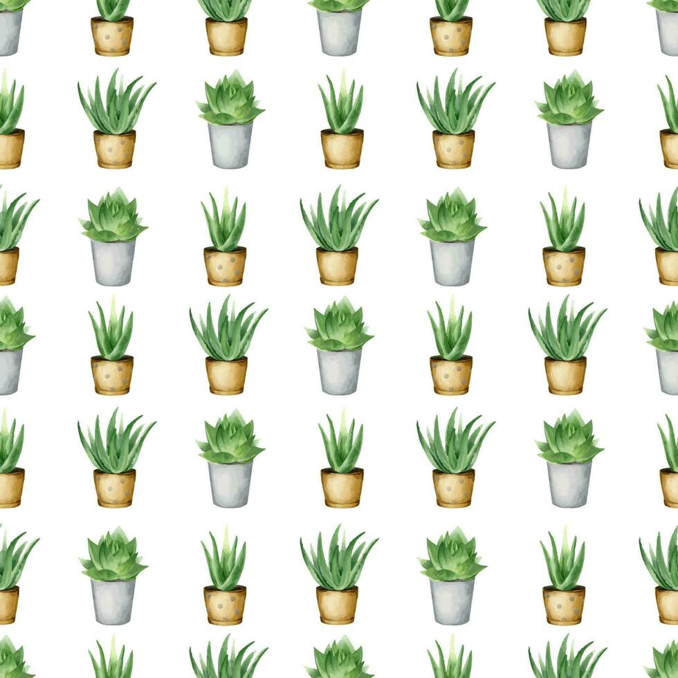Aloe vera plant in a pot. indoor plants. Watercolor seamless pattern on a white background. For packaging cosmetics, scrapbooking, wrapping paper vector