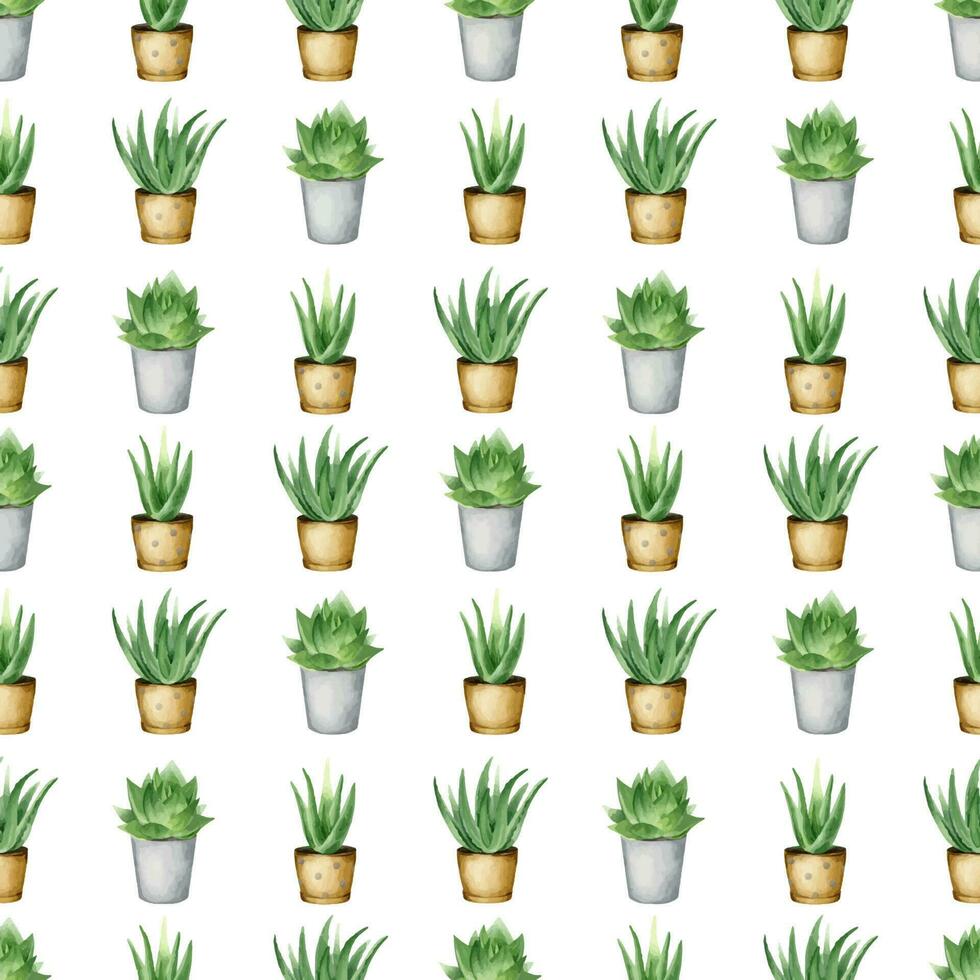 Aloe vera plant in a pot. indoor plants. Watercolor seamless pattern on a white background. For packaging cosmetics, scrapbooking, wrapping paper vector