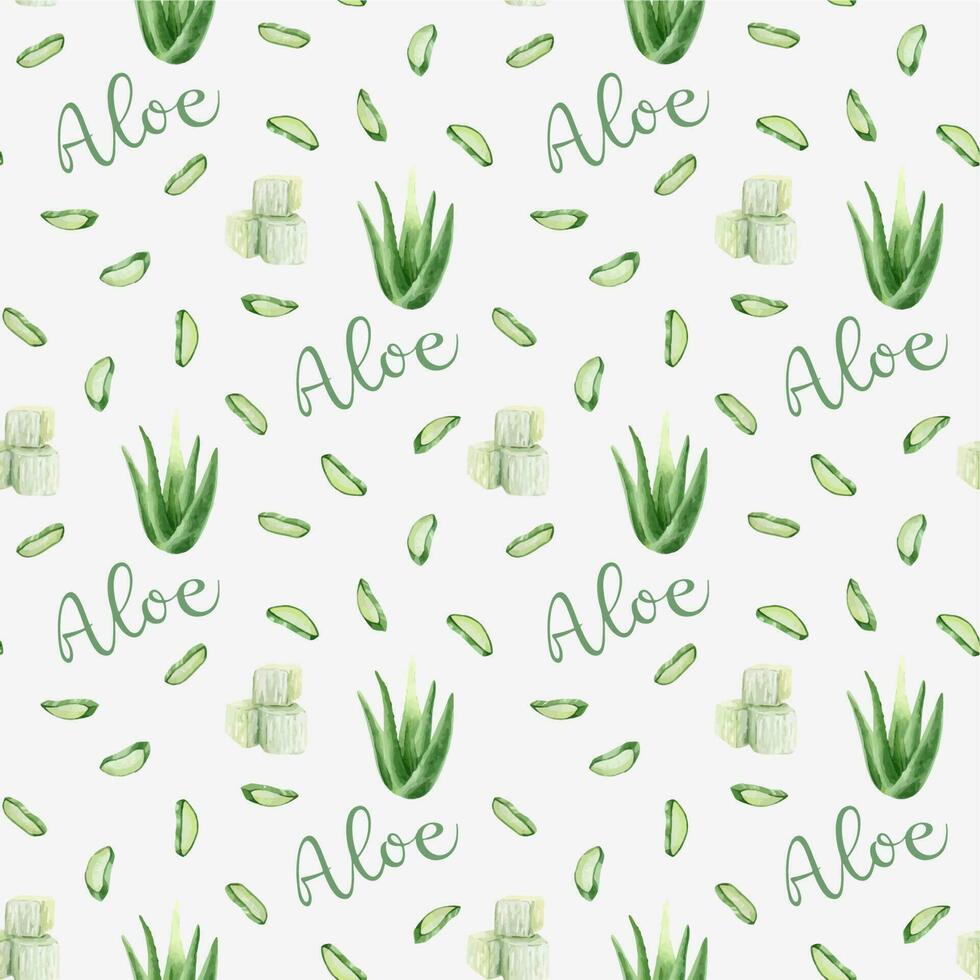 Aloe vera plant, slices, cubes of pulp and aloe leaves. the inscription is aloe. Watercolor seamless pattern on a white background. For packaging cosmetics, scrapbooking, wrapping paper vector
