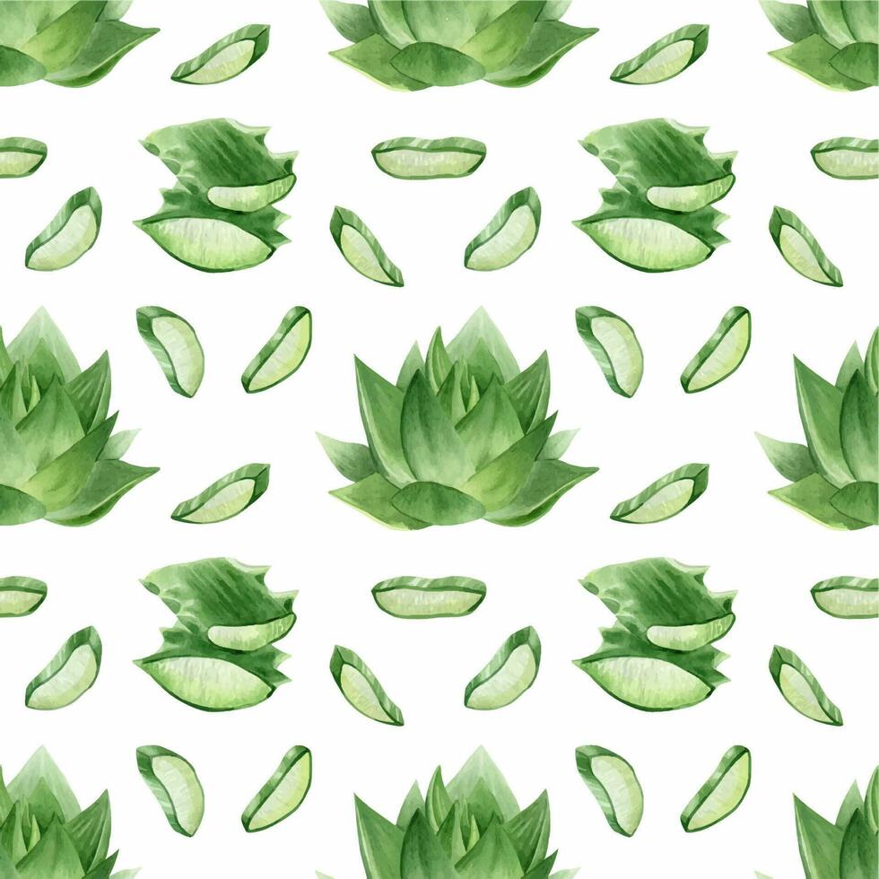 Aloe vera plant, slices, pulp and leaves of aloe. Watercolor seamless pattern on a white background. For packaging cosmetics, scrapbooking, wrapping paper vector