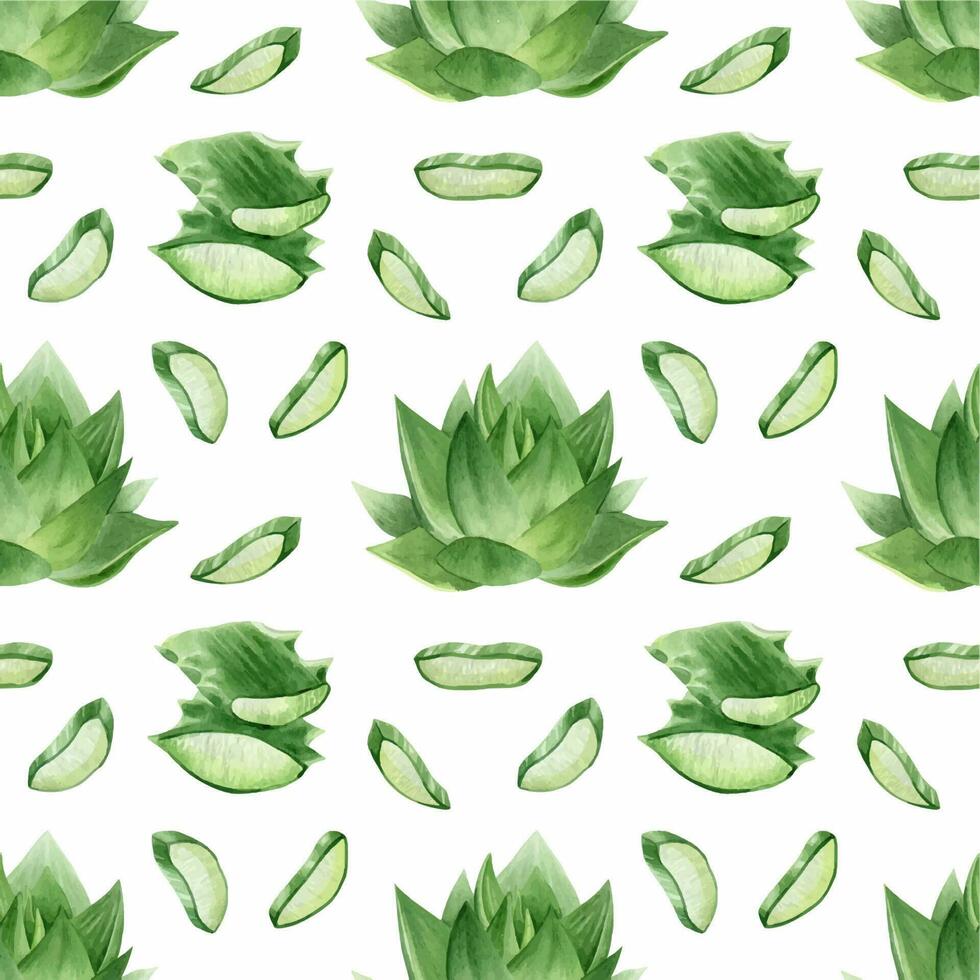 Aloe vera plant, slices, pulp and leaves of aloe. Watercolor seamless pattern on a white background. For packaging cosmetics, scrapbooking, wrapping paper vector