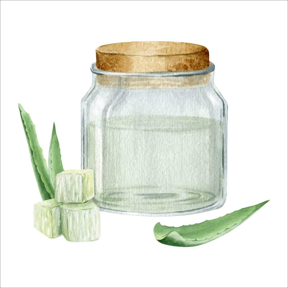 Glass jar with aloe vera juice. Mash and aloe succulent leaves. Watercolor illustration drawn by hands. Isolated on a white background. vector