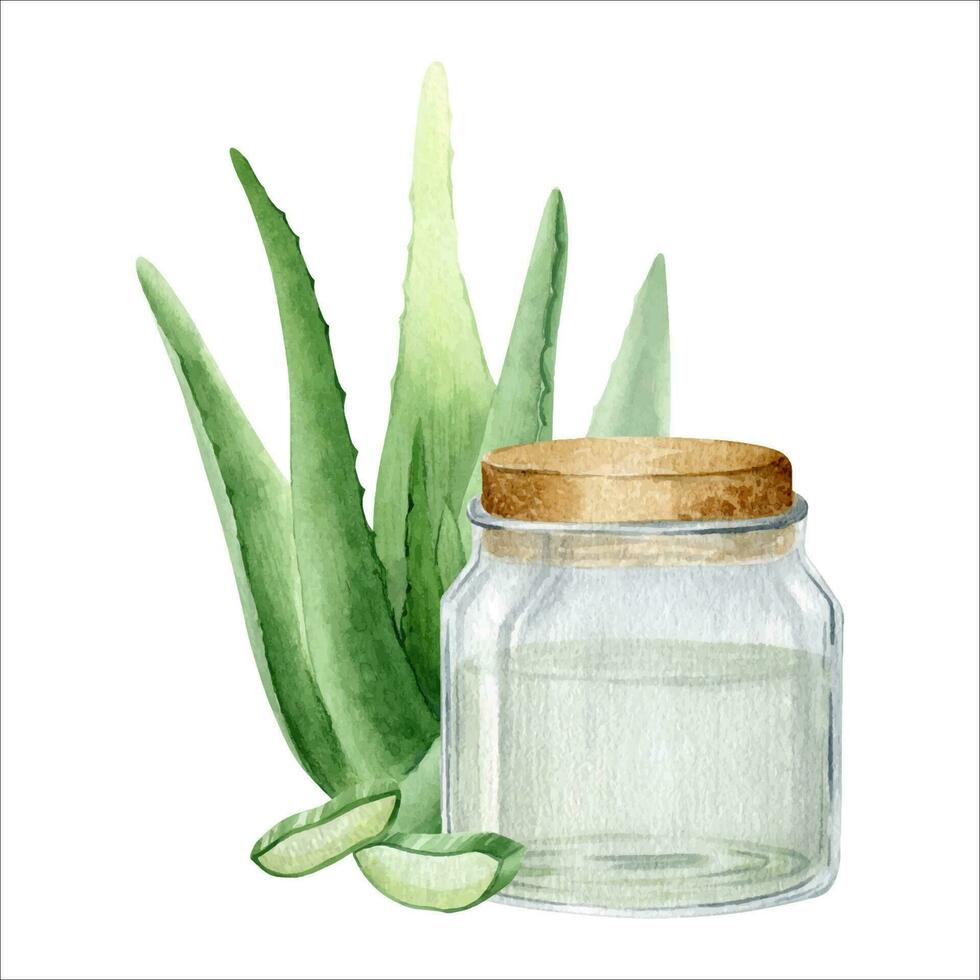 Glass jar with aloe vera juice. Mash and aloe succulent leaves. Watercolor illustration drawn by hands. Isolated on a white background. vector