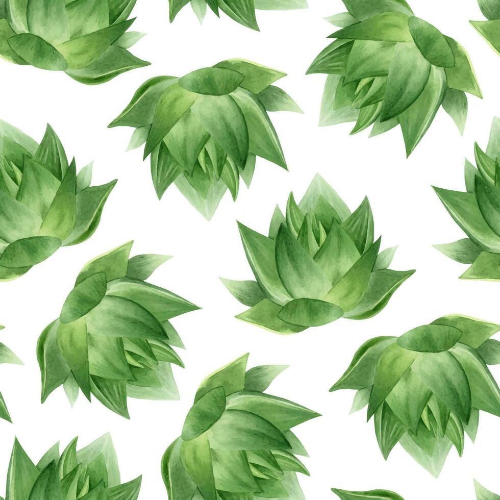 Aloe vera plant, slices and aloe leaves. Watercolor seamless pattern on a white background. For packaging cosmetics, scrapbooking, wrapping paper vector