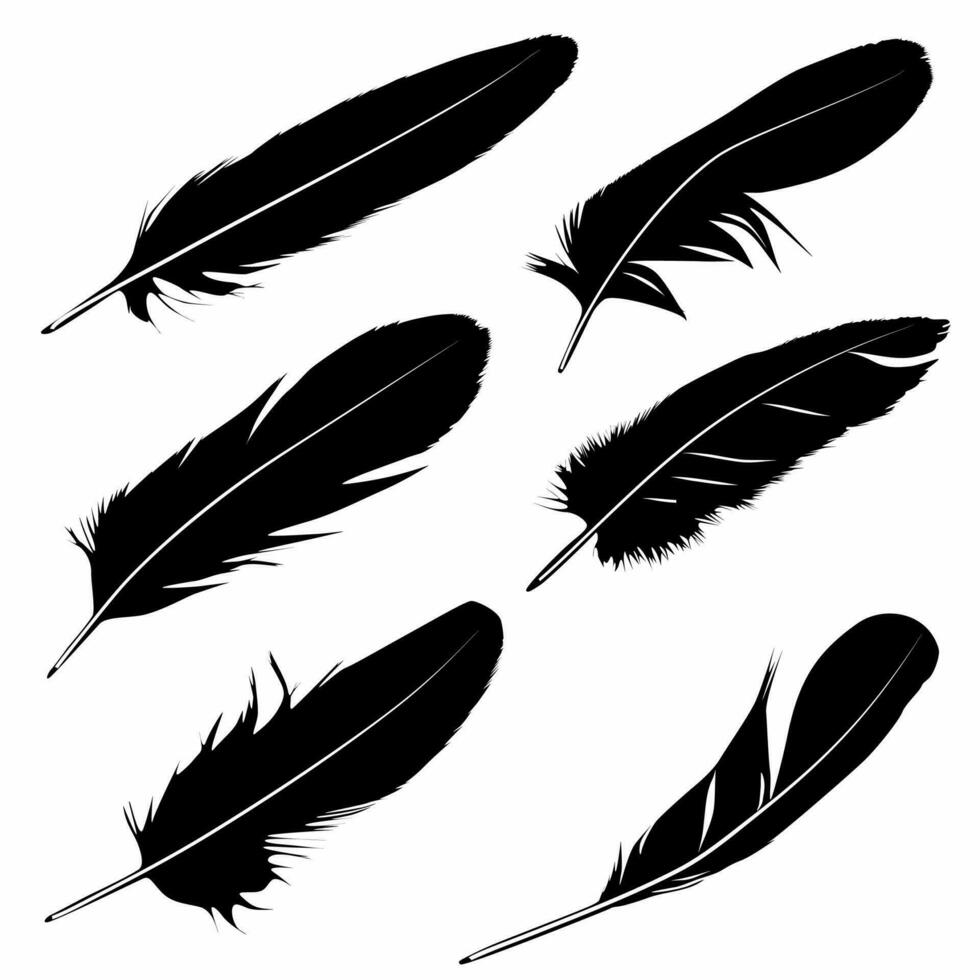 collection of magnificently detailed feathers, logos, icons vector