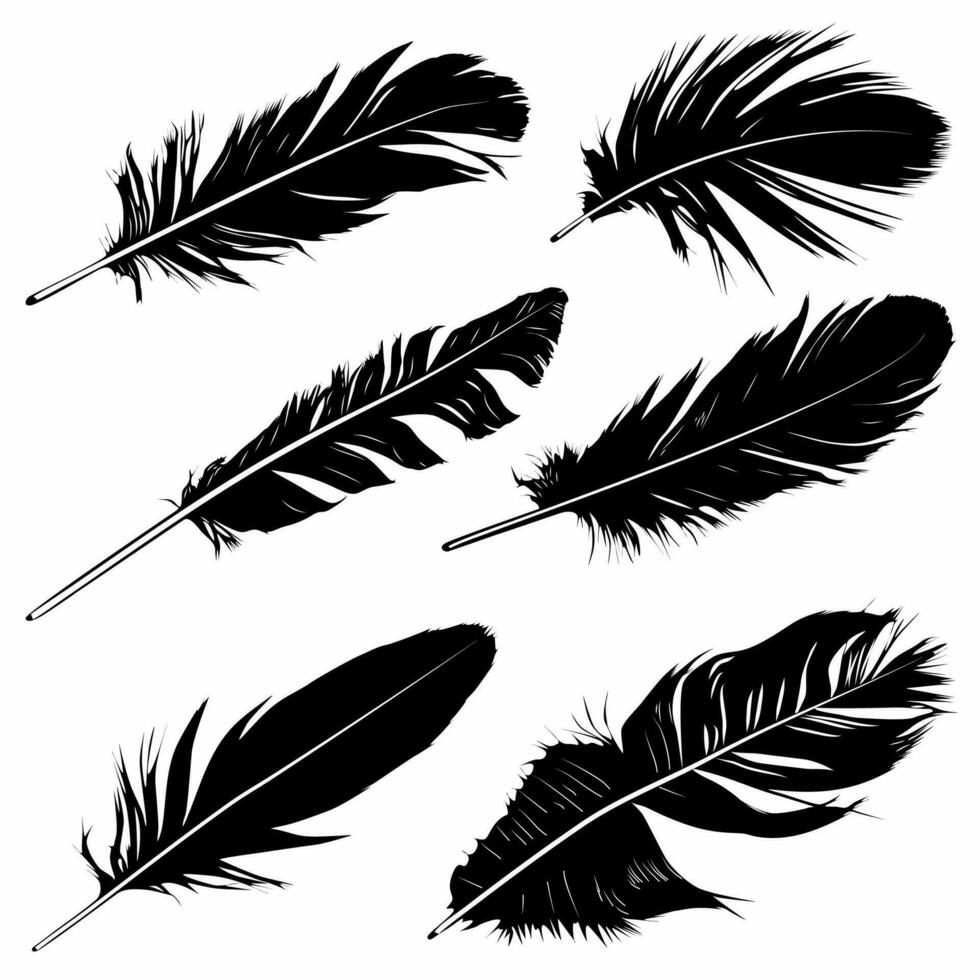 collection of magnificently detailed feathers, logos, icons vector