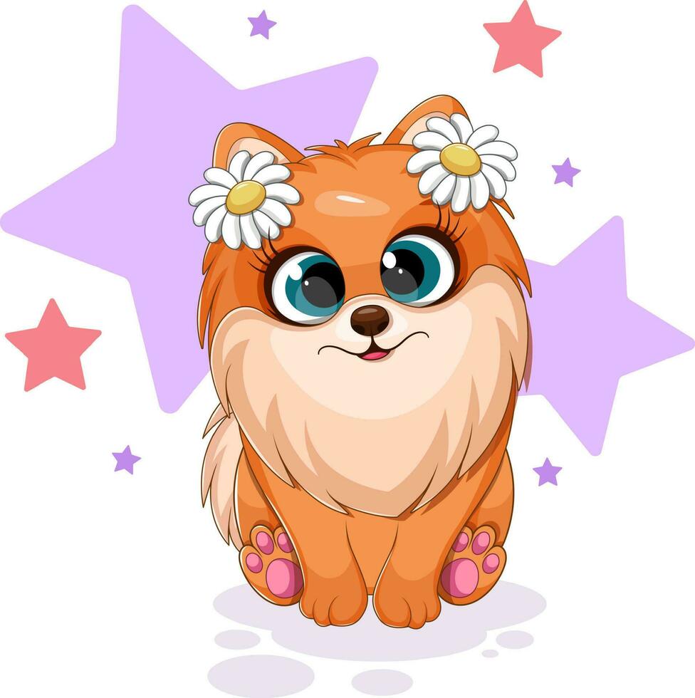 pequeño perro, pomeranio perro de Pomerania con flores en cabeza, estrellas, gracioso tarjeta vector