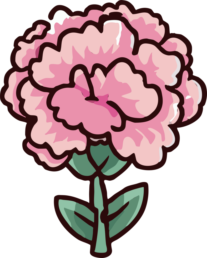 carnation png graphic clipart design
