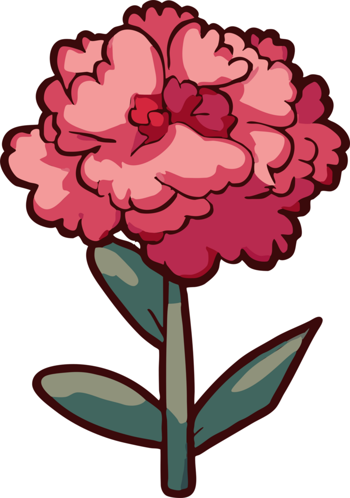 carnation png graphic clipart design