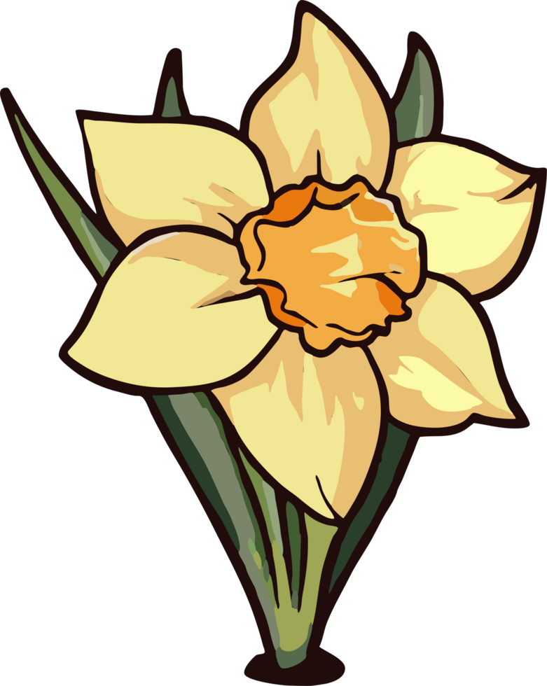 daffodil png graphic clipart design 23623207 PNG