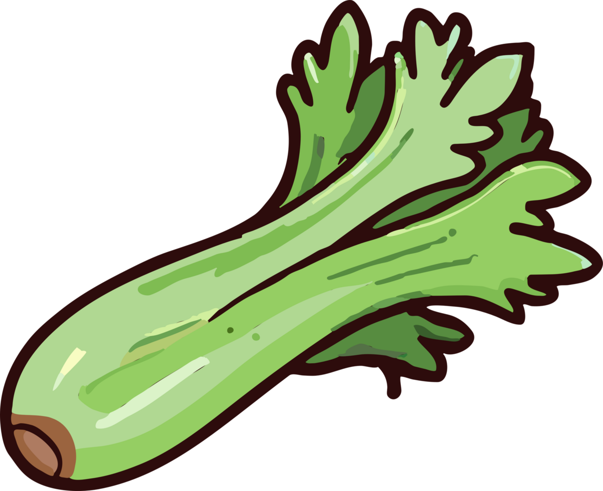 celery png graphic clipart design 23623228 PNG