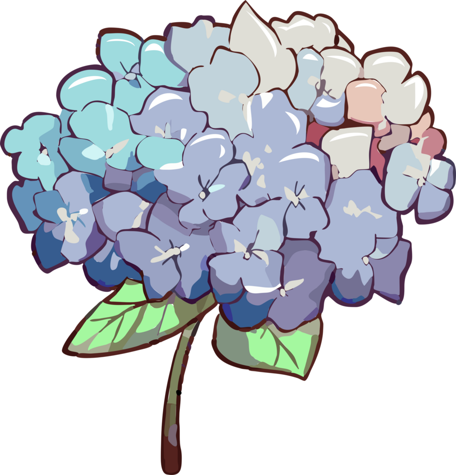 hydrangea png graphic clipart design