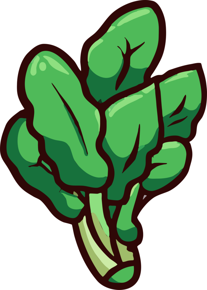 spinach png graphic clipart design