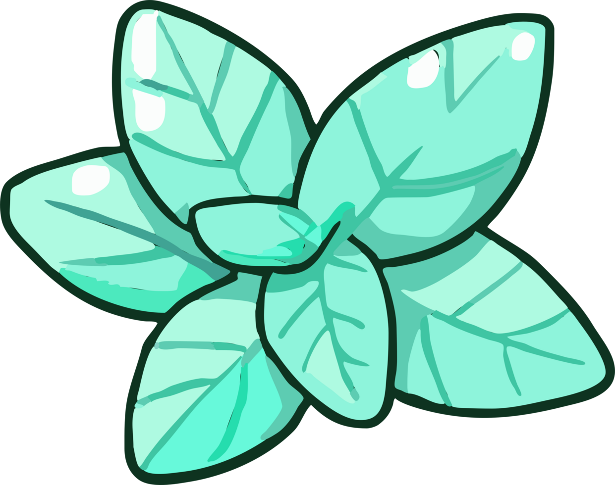 mint png graphic clipart design 23623249 PNG