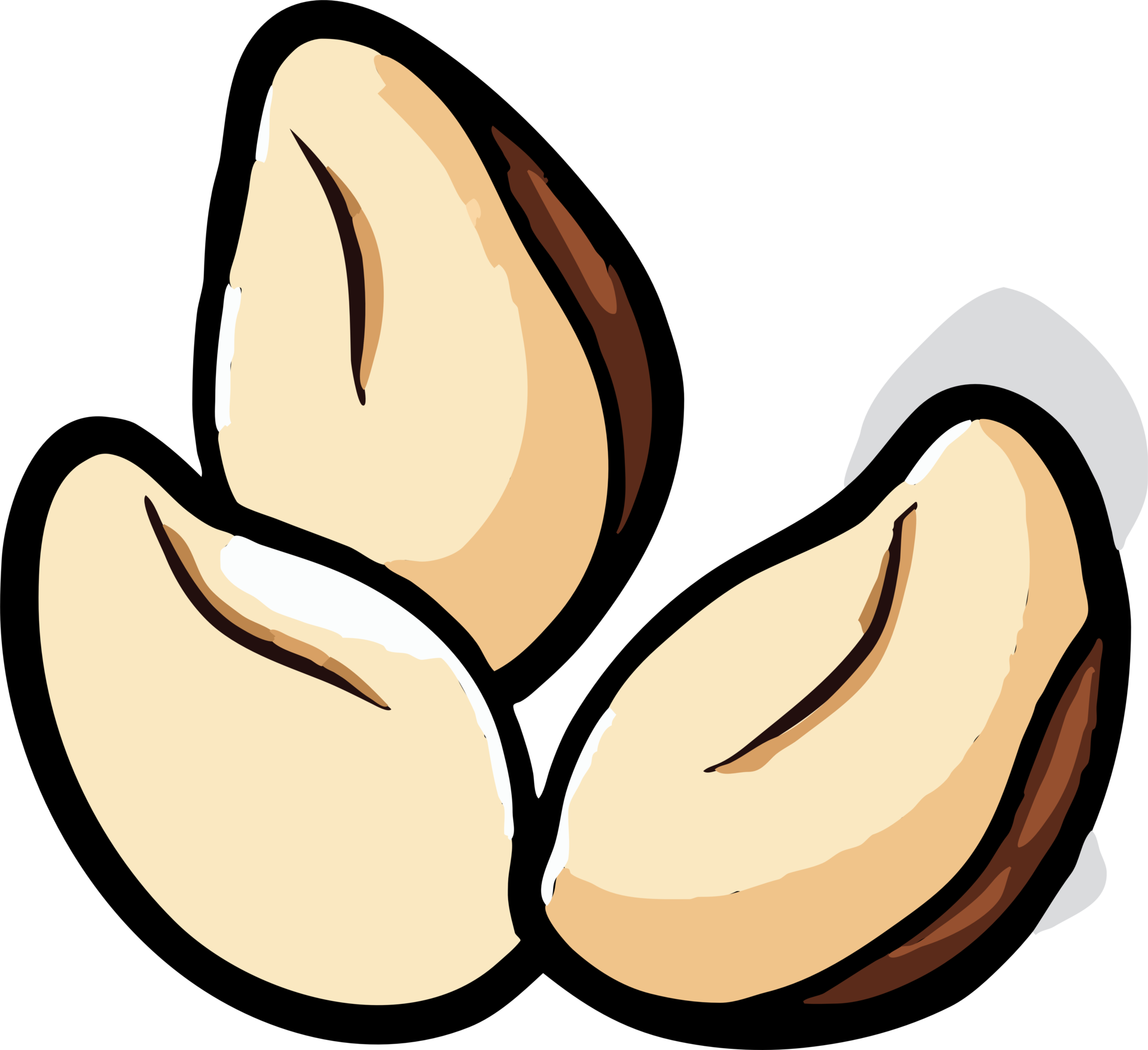 pumpkin seed png graphic clipart design 23623256 PNG