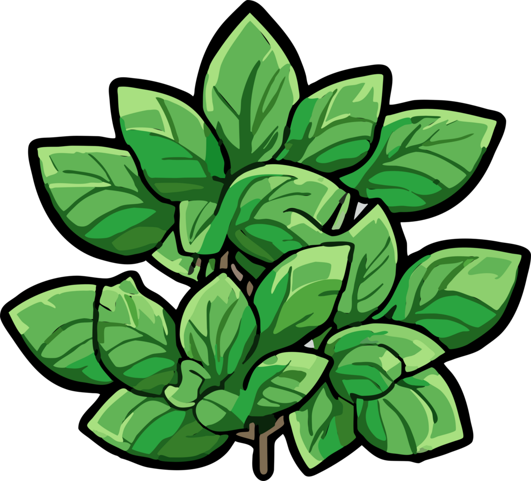 oregano png graphic clipart design