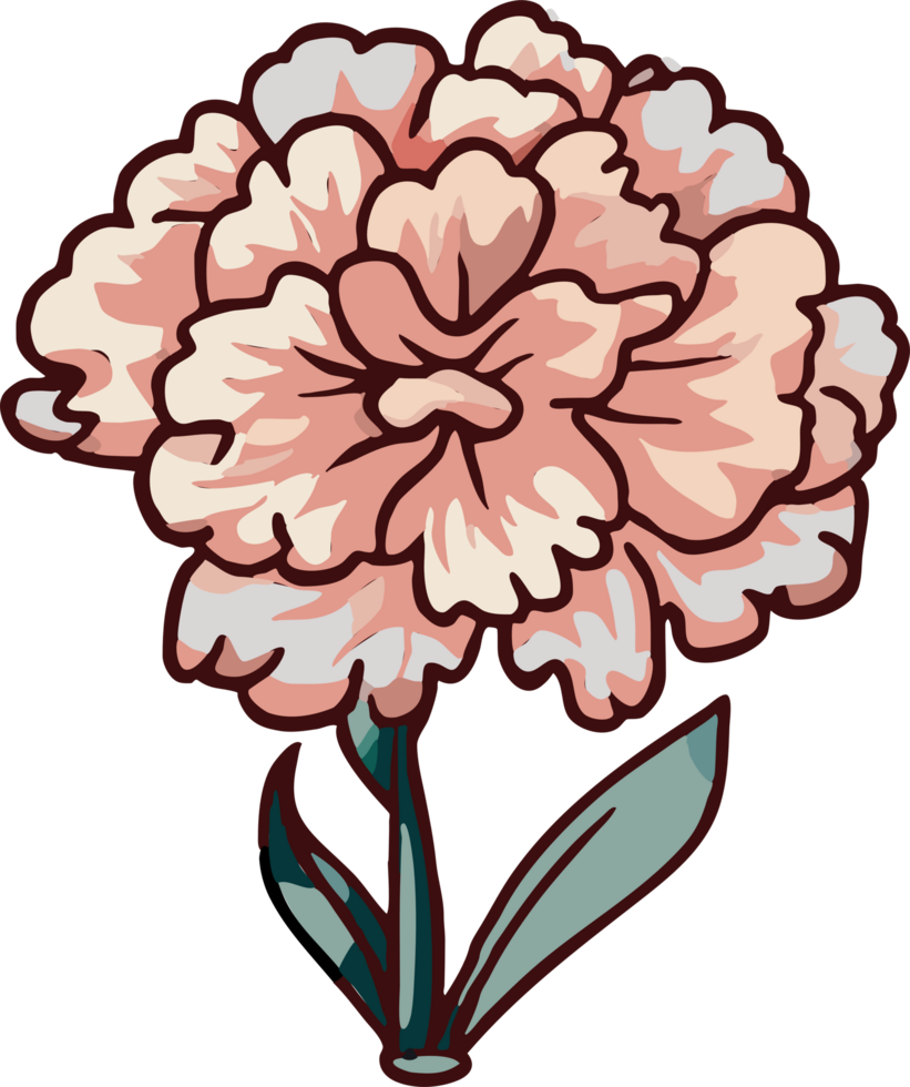 carnation png graphic clipart design