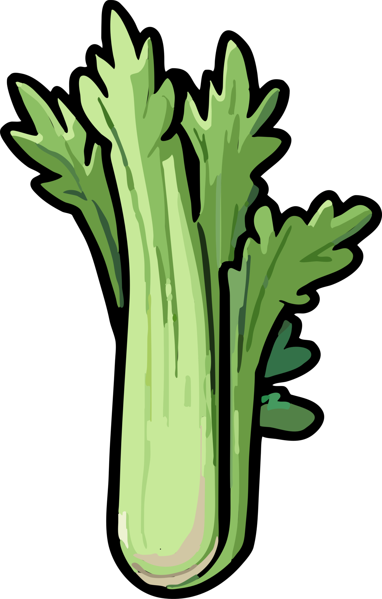celery png graphic clipart design 23623342 PNG