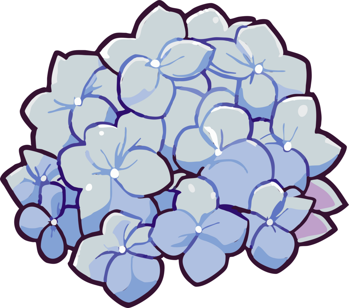 hydrangea png graphic clipart design