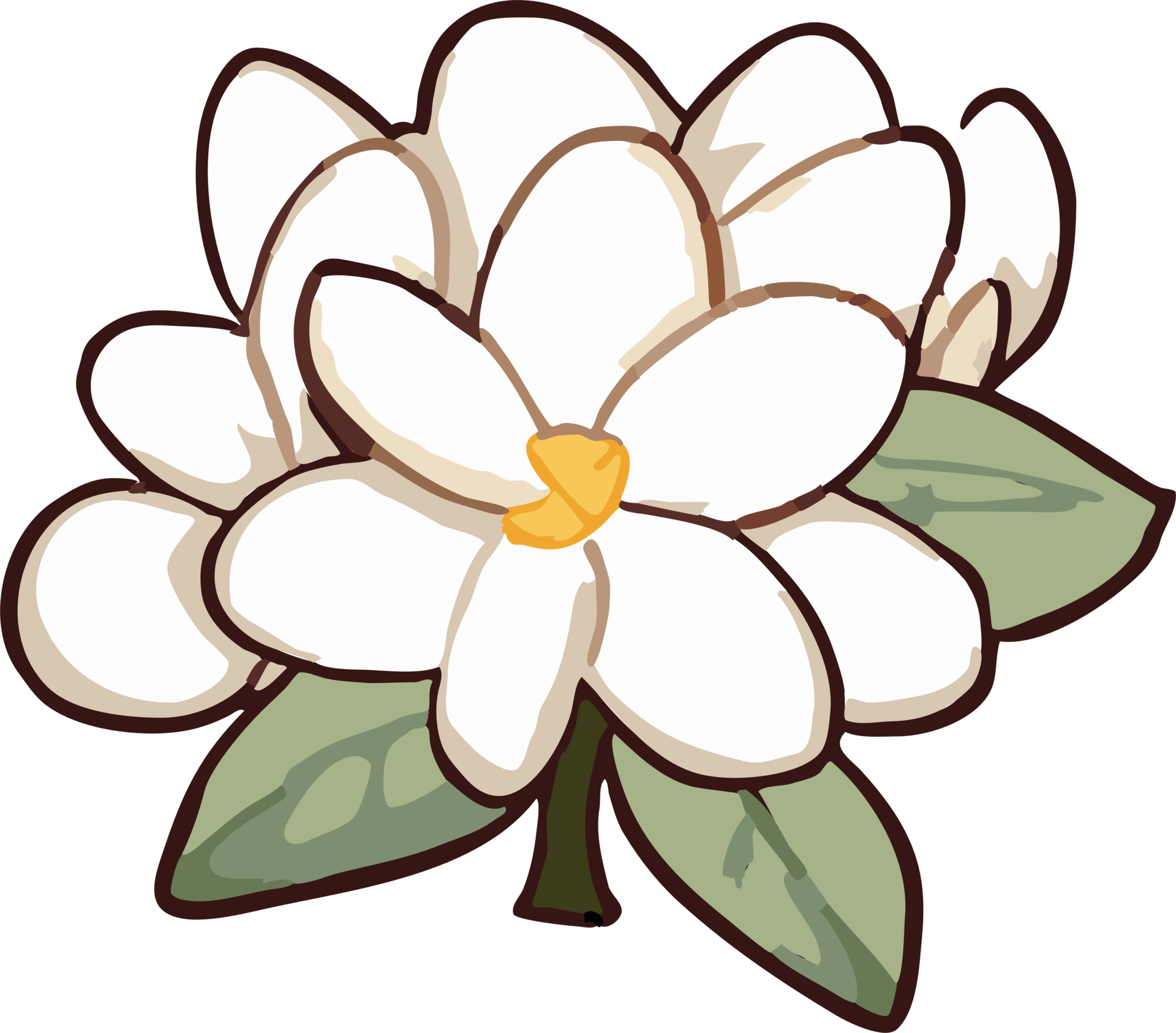 jasmine png graphic clipart design 23623346 PNG