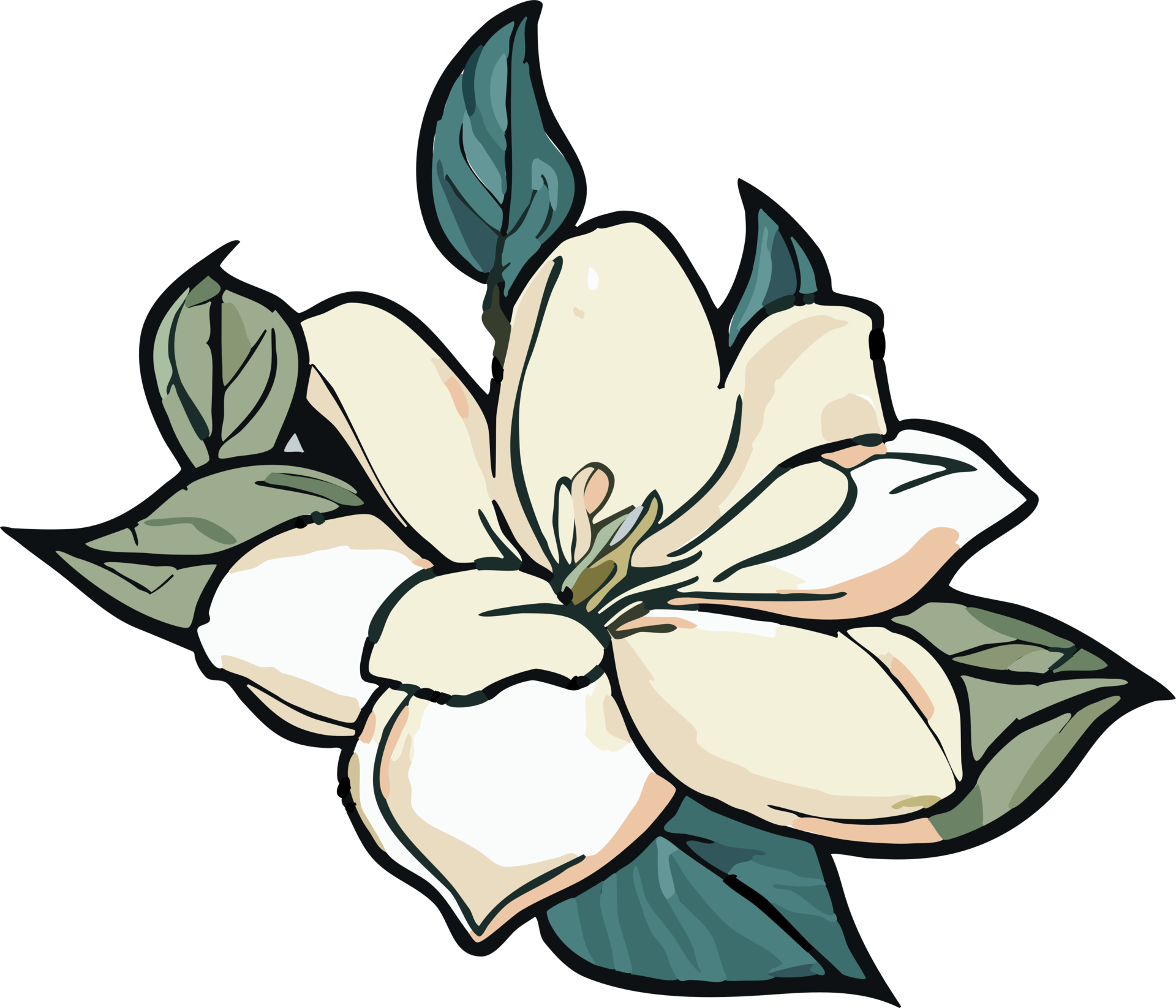 jasmine png graphic clipart design 23623349 PNG